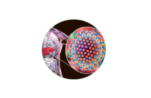 Hepatitis C