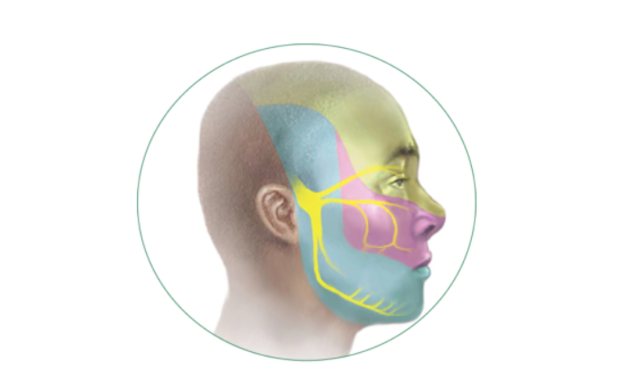 Homeopathy treatment for Trigeminal Neuralgia in Dubai